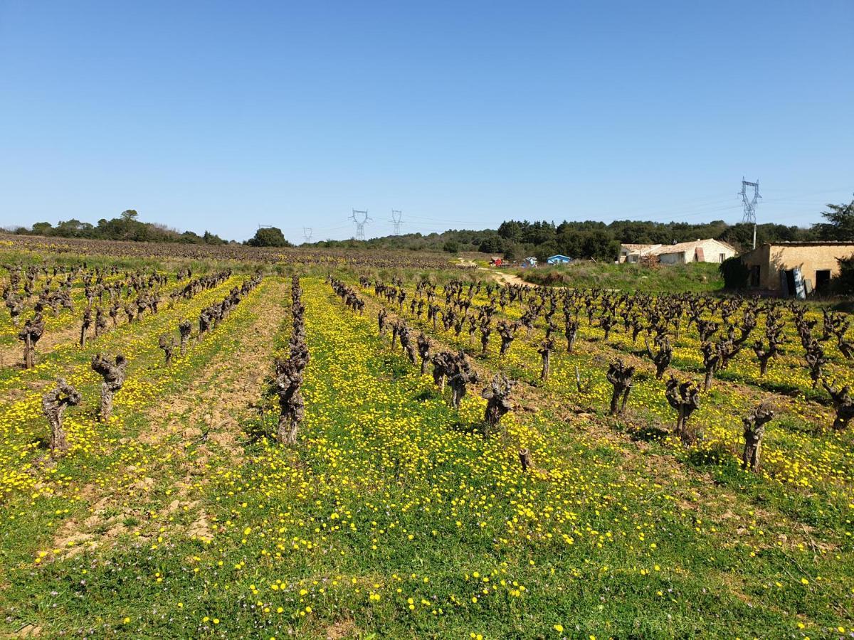 Le Clos Soleilhan Saint-Gervais  Esterno foto